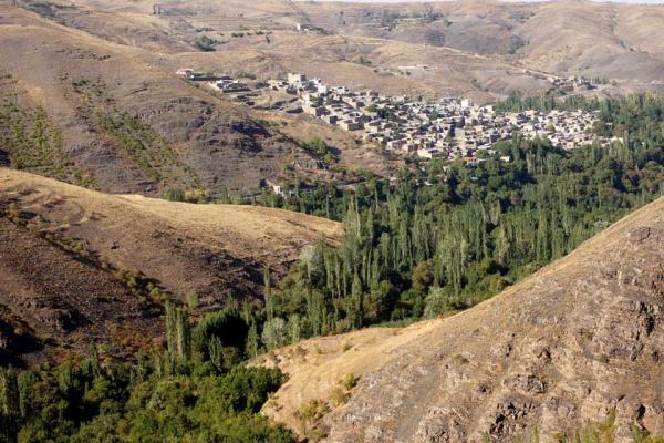 برگزاری تور گردشگری ویژه خبرنگاران و عکاسان در تربت حیدریه